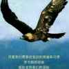 华哥的头像
