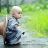 烟雨如梦的头像