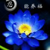 幸福kUAIILE暂离的头像