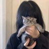 长安的头像