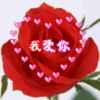 花好月圆的头像