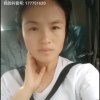 金贝壳小史的头像