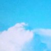 梦的天空的头像
