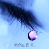 紫色的眼泪的头像