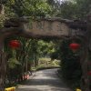 君的头像