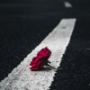 The &bsol;(^o^)/@only me¿的头像