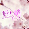好心情的头像