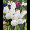 向前看的头像