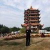 情义的头像
