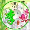 非诚勿扰 的头像