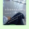 落叶摇情的头像