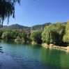 吴怡（暂退）的头像