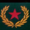 军的头像