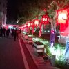青青湖边草的头像