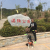 当兵的人享受音乐的头像