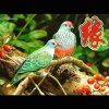 一路向南的头像