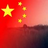 潘上官婉儿《女神》的头像