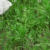 沐恩的头像