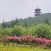 心止如水的头像