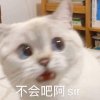 Ryan的头像