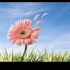 花谢、自相惜的头像