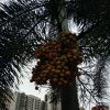 糊涂岁月的头像