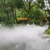 雅森^春嗳花开的头像