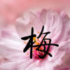 小梅<div class=