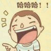 鱼意只夏的头像
