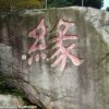 红玫瑰的头像