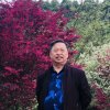 逍遥散人的头像