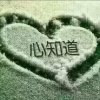 勿忘我的头像