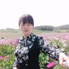 樱桃的头像