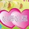 心语心愿《暂退》的头像