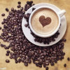 咖啡豆的头像