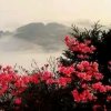 平凡的头像