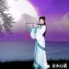 冷月无声(退)的头像