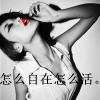 天涯Virginia 蝴蝶浪子的头像