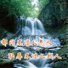 情深似海的头像