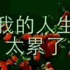 痛苦的人生的头像