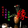 懂你的头像