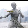 情比金坚的头像