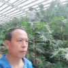 好男人的头像