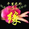 云歌的头像