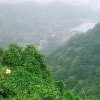 缘的头像