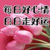 微笑的头像