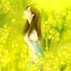 神麦随心而歌【丽潮女68】的头像