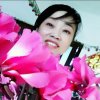 苹果 lixiangxi的头像