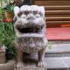 来自北方的狼的头像