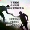 洋凉陌的头像